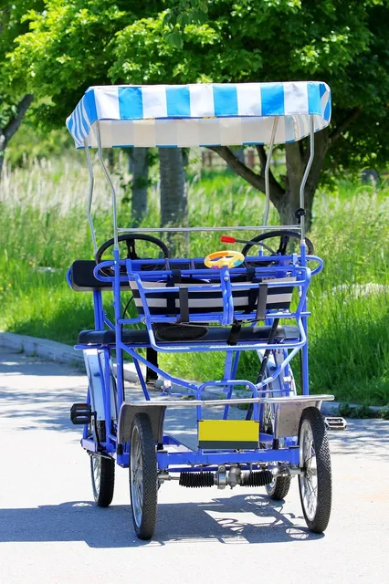 PRZYCZEPKA ROWEROWA NA 1 LUB 2 DZIECI