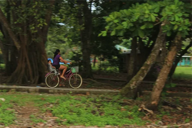 PRZYCZEPKA ROWEROWA NA 1 LUB 2 DZIECI